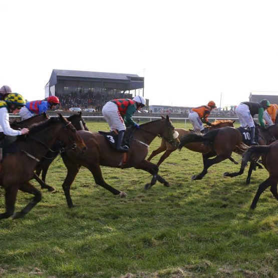Thurles Racing National Hunt Racecourses | National Hunt Racecourse | Tourists ...